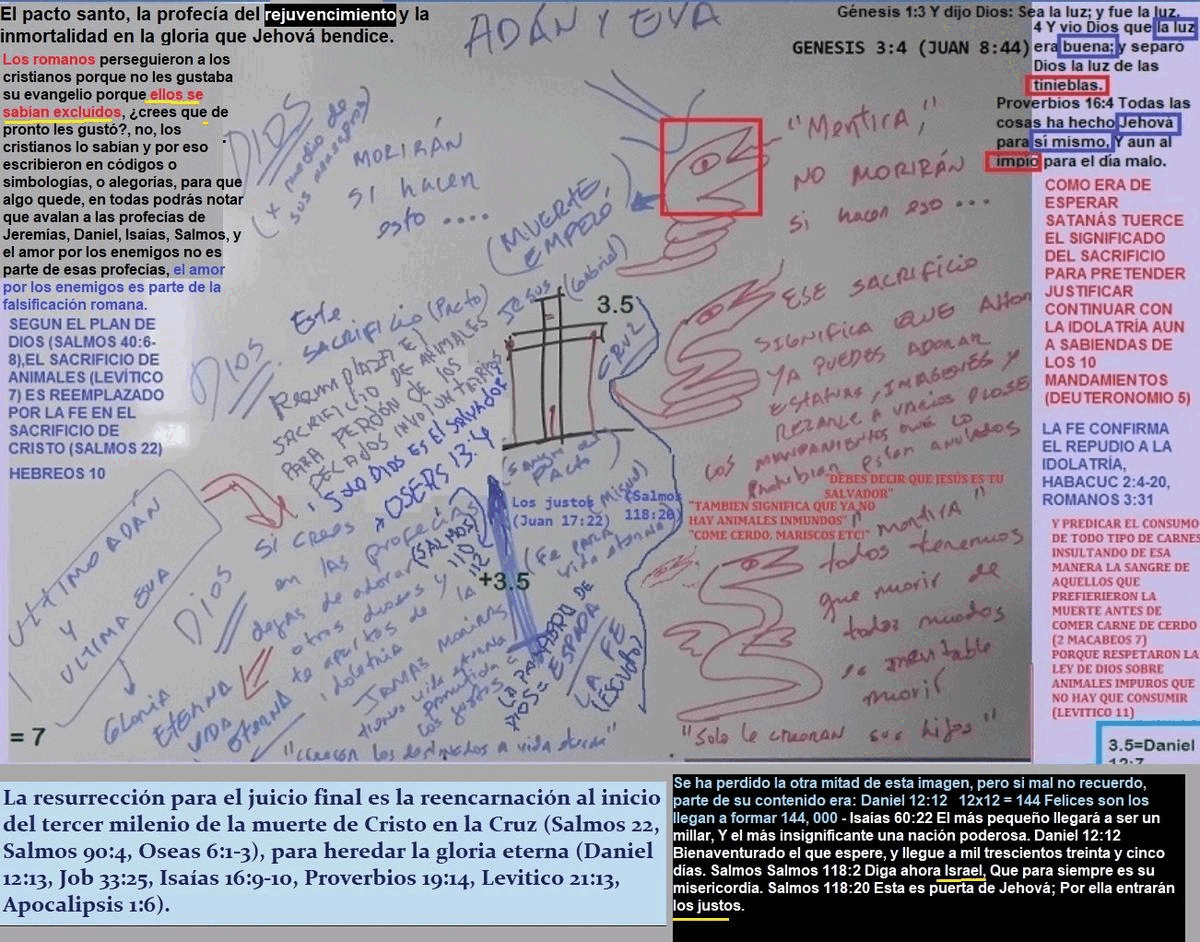 los-perseguidores-romanos-se-sabian-a-si-mismos-excluidos-de-la-bendicion-del-verdadero-evangelio-por-eso-lo-falsificaron (1)