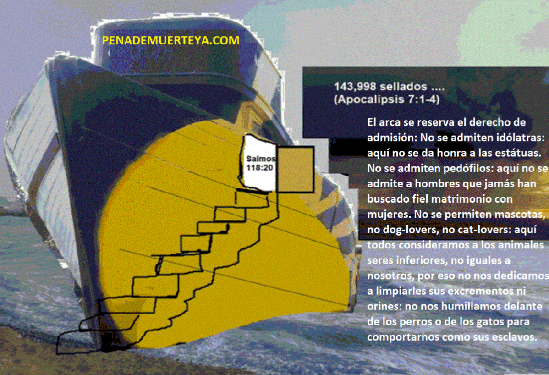 en-el-arca-no-se-admiten-animales-ni-hombres-animales